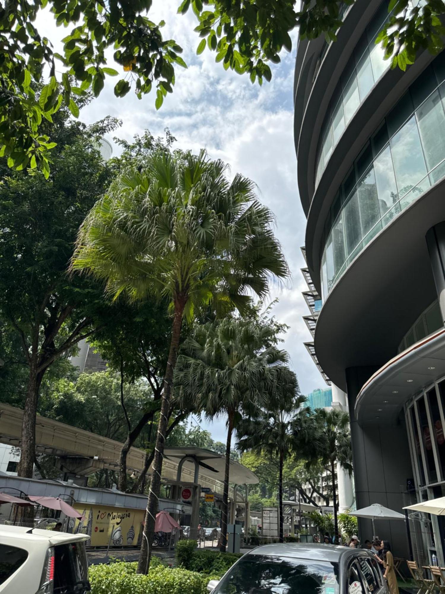 Vortex Suites Klcc 2Bedroom & 3Bedroom Apartment Κουάλα Λουμπούρ Εξωτερικό φωτογραφία